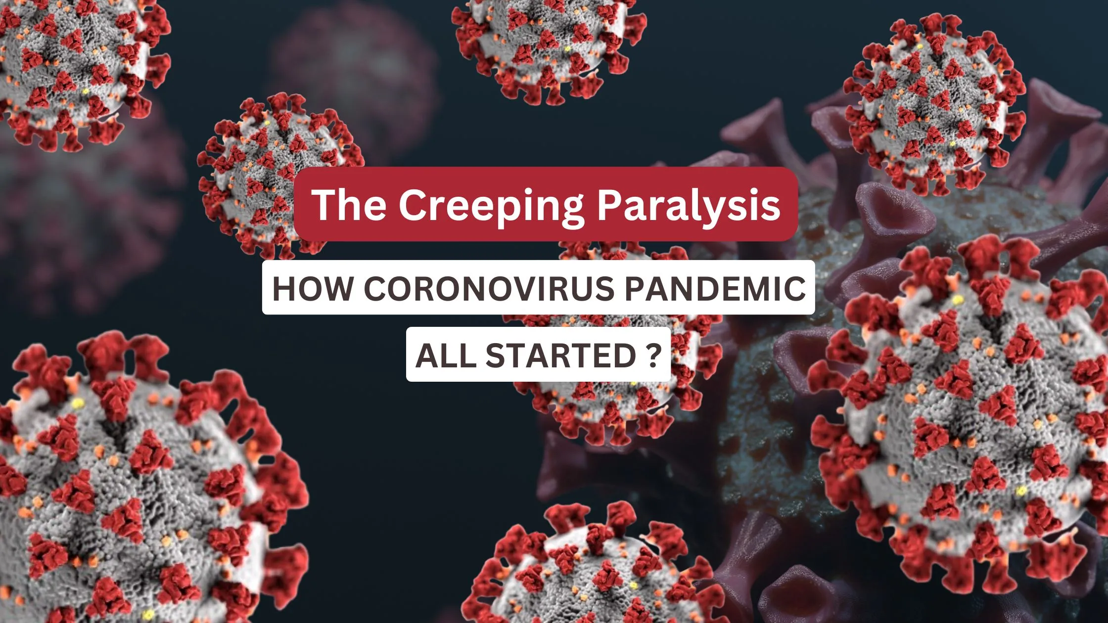 3D illustration of the coronavirus (SARS-CoV-2) showing spherical virus particles with spike proteins on the surface.