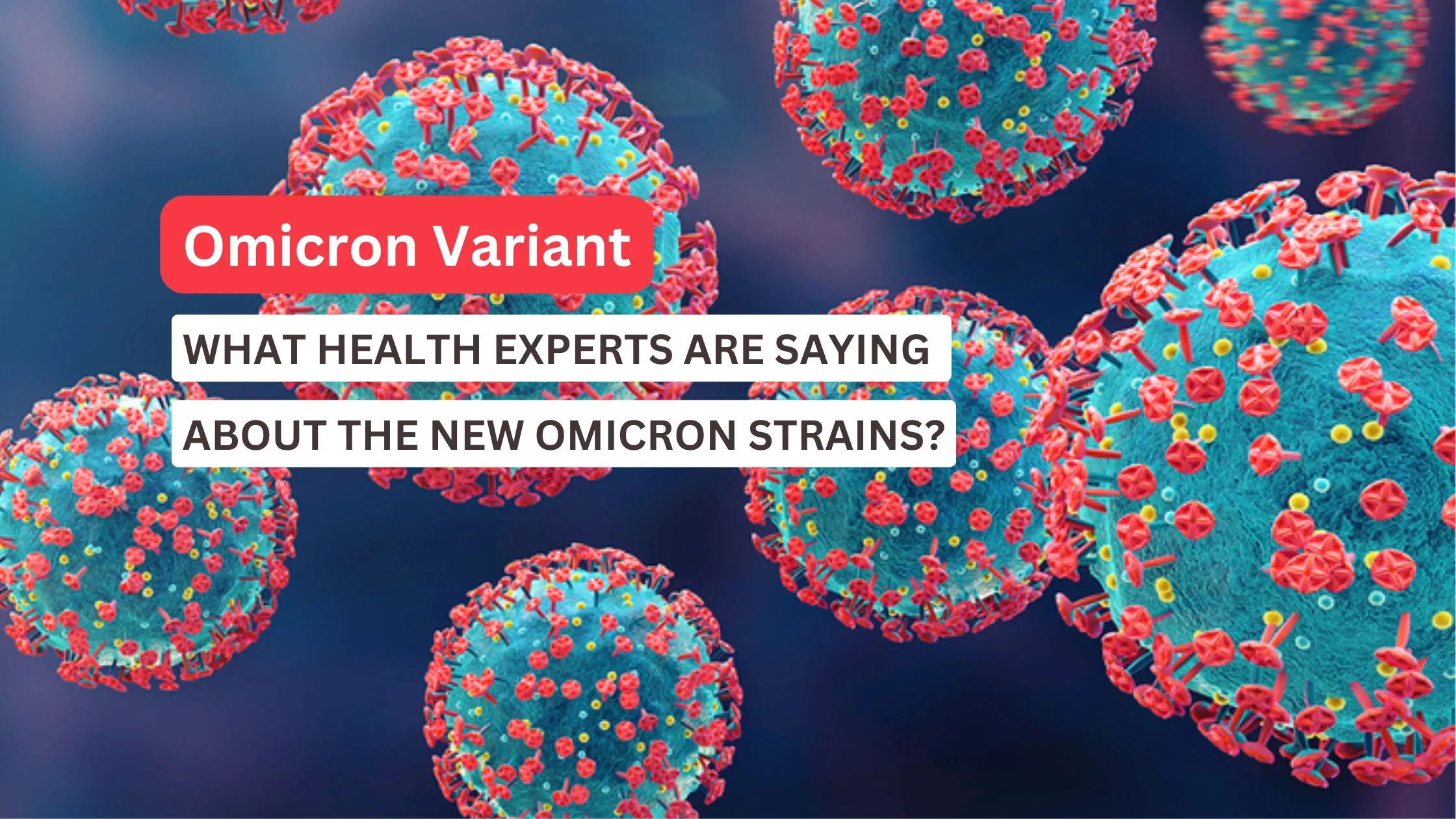 3D illustration of multiple SARS-CoV-2 virus particles, characterized by blue spherical bodies covered in red spike proteins, representing Omicron sub-variants against a blurred bluish-purple background.